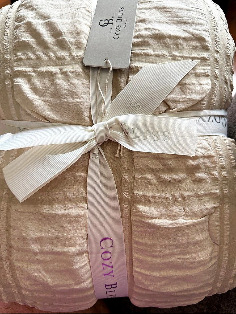 NWT Cozy Bliss Twin/Twin XL Cooling Comforter 68x90 Ivory Cream Seersucker